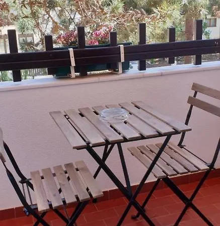 Pinho São Pedro de Muel