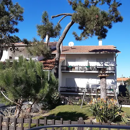 Pinho São Pedro de Muel