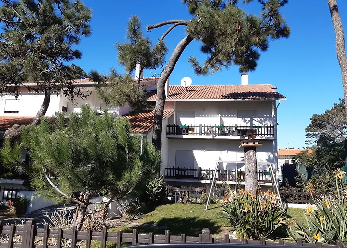 Pinho São Pedro de Muel